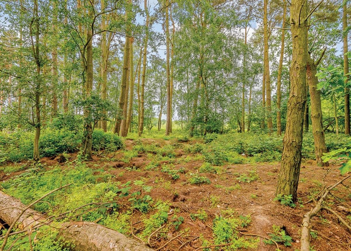 Woodhall Country Park Lodges Woodhall Spa Bagian luar foto